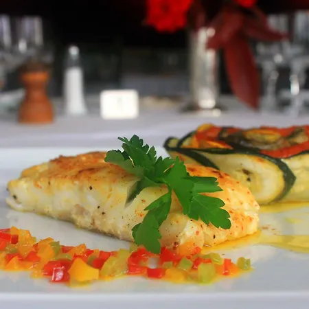 Hotel Hotel-restaurant Eychenne Saint-Girons (Ariege)
